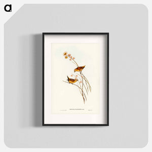 オーストラリア