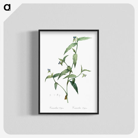 2-5_The-Lilies_blk-crop