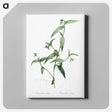 2-5_The-Lilies_canvas