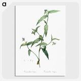 2-5_The-Lilies_picture-crop