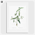 2-5_The-Lilies_picture
