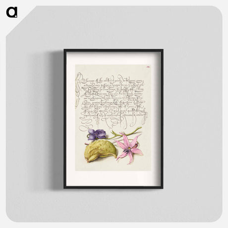 アートポスター-Sweet Violet, Gourd, and Dog Tooth Violet from Mira Calligraphiae Monumenta
 - 書道のお手本 Poster.
