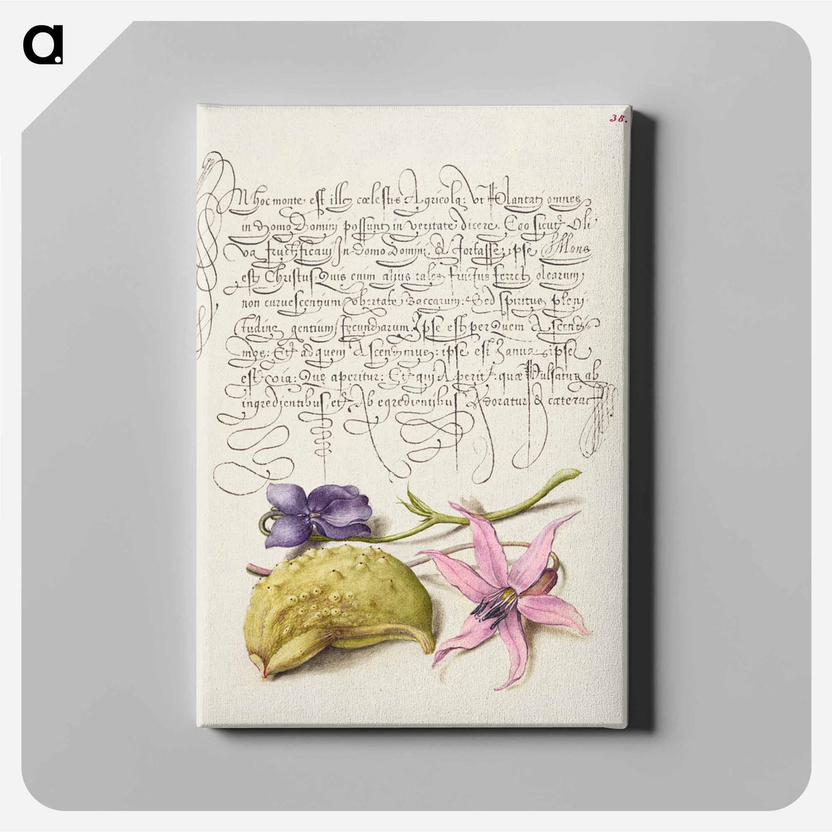 アートパネル-Sweet Violet, Gourd, and Dog Tooth Violet from Mira Calligraphiae Monumenta
 - 書道のお手本 Canvas.