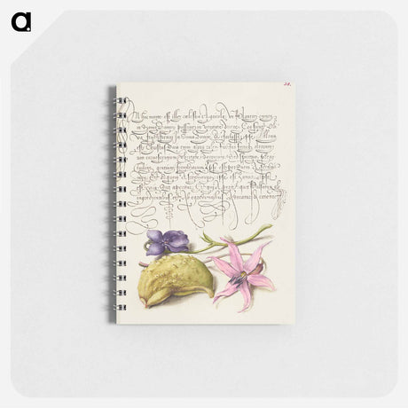 アートメモ帳-Sweet Violet, Gourd, and Dog Tooth Violet from Mira Calligraphiae Monumenta
 - 書道のお手本 Memo.