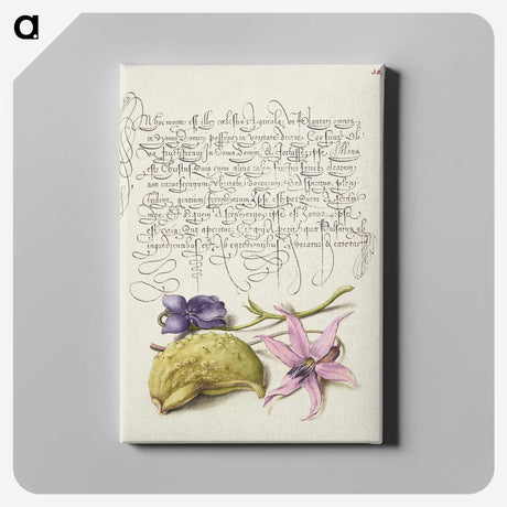 2-5_The-Model-Book-of-Calligraphy_canvas