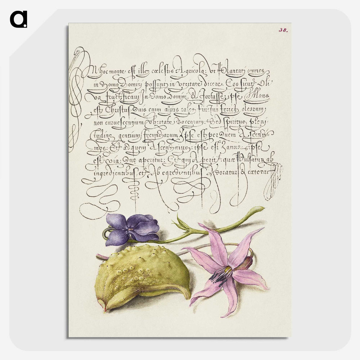 2-5_The-Model-Book-of-Calligraphy_picture-crop
