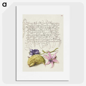 2-5_The-Model-Book-of-Calligraphy_picture