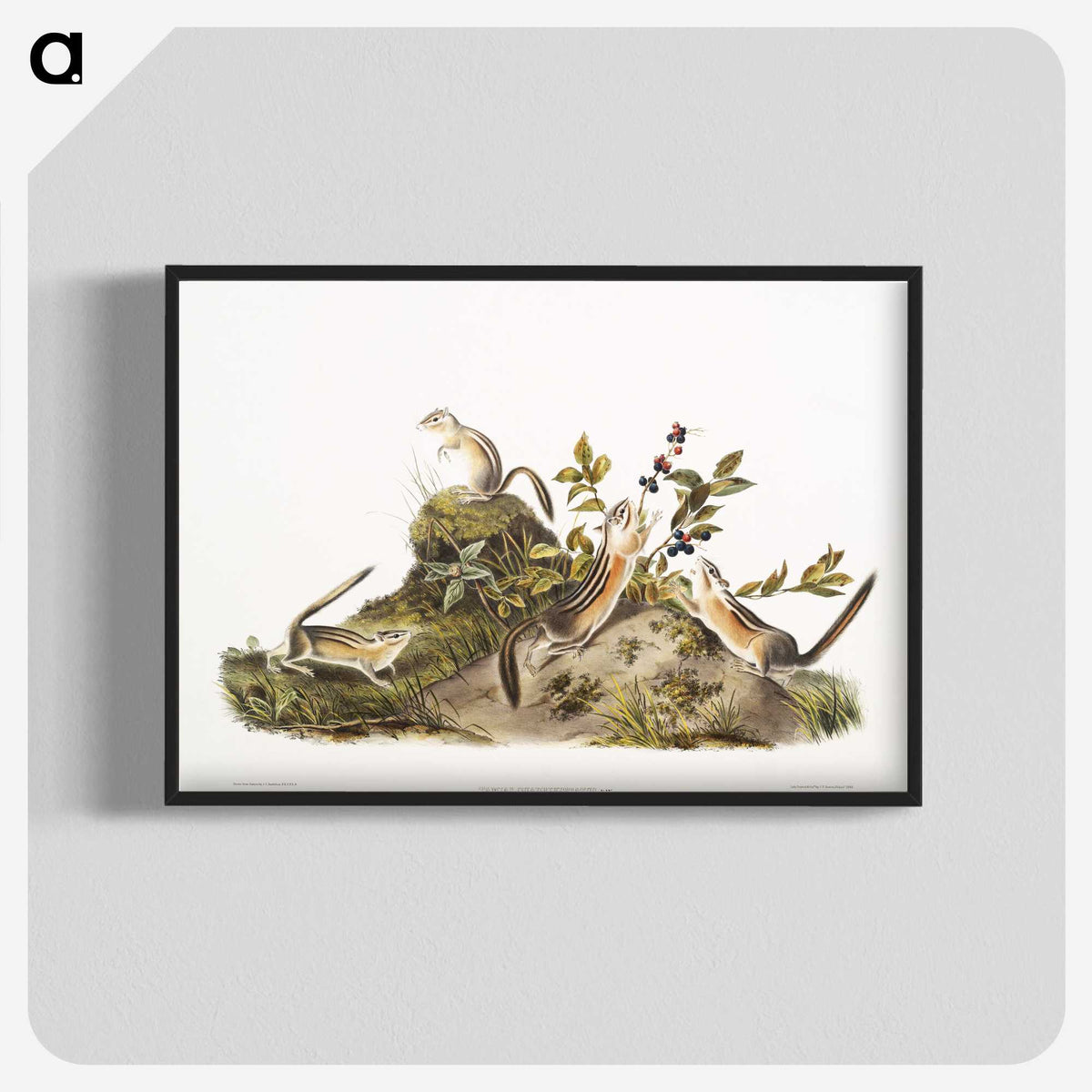 2-5_The-Viviparous-Quadrupeds_blk-crop