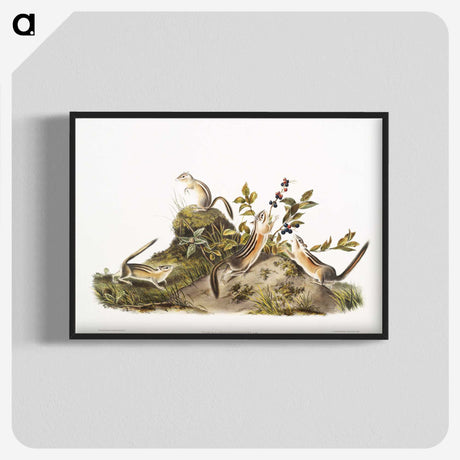 2-5_The-Viviparous-Quadrupeds_blk-crop