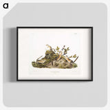 2-5_The-Viviparous-Quadrupeds_blk