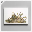 2-5_The-Viviparous-Quadrupeds_canvas