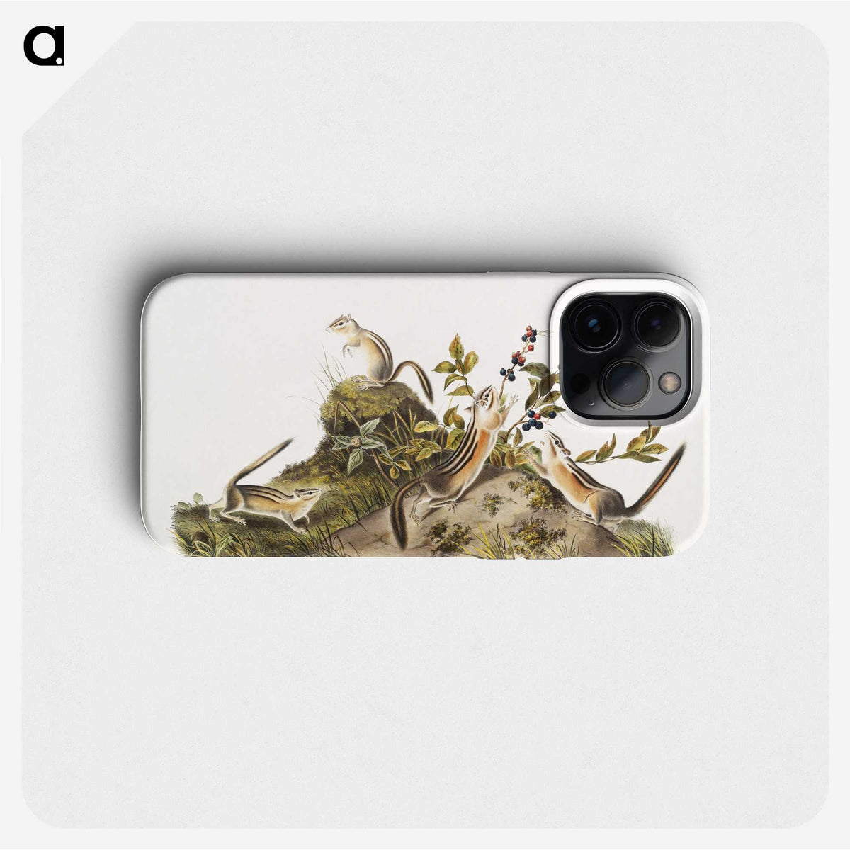 2-5_The-Viviparous-Quadrupeds_phone