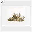 2-5_The-Viviparous-Quadrupeds_picture