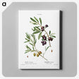 2-5_Treatise-on-Trees-and-Shrubs_canvas