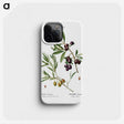 2-5_Treatise-on-Trees-and-Shrubs_phone