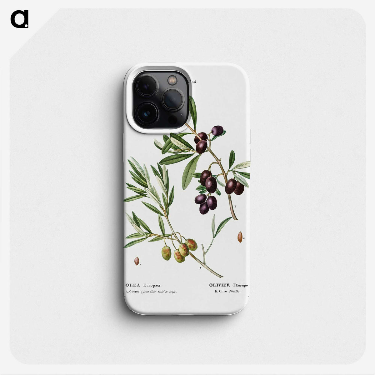 2-5_Treatise-on-Trees-and-Shrubs_phone