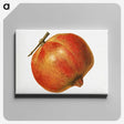 2-5_USDA-Watercolor-Fruit-Painting-Collection_canvas