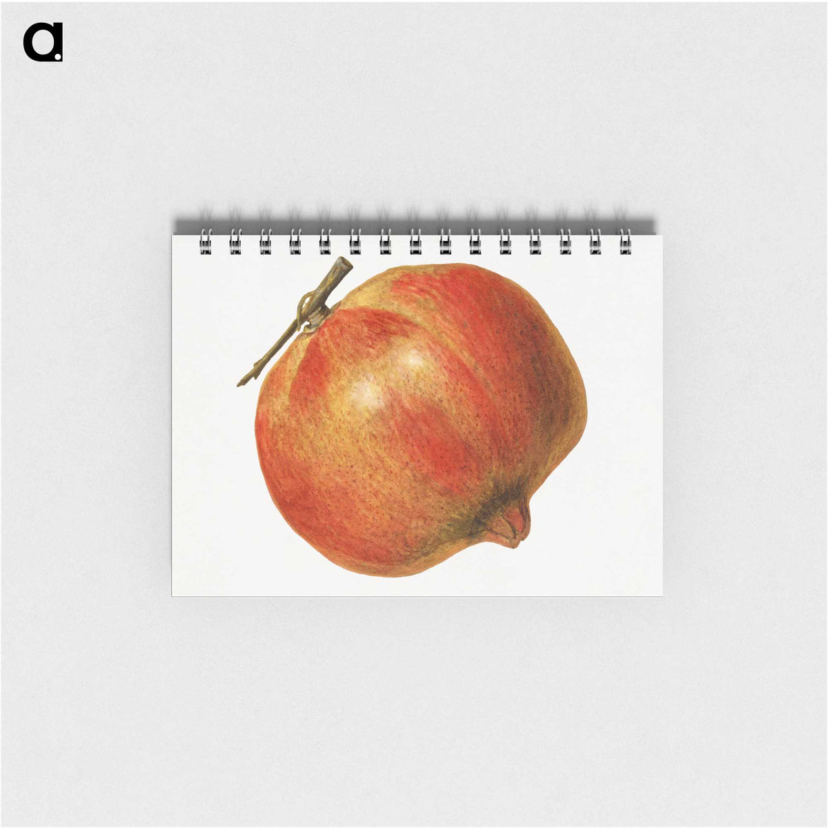 2-5_USDA-Watercolor-Fruit-Painting-Collection_memo