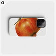 2-5_USDA-Watercolor-Fruit-Painting-Collection_phone