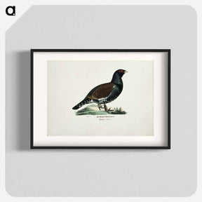 アートポスター-Male capercaillie - ヴィルヘルム フォン ライト Poster.