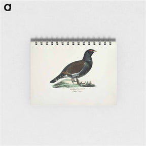 アートメモ帳-Male capercaillie - ヴィルヘルム フォン ライト Memo.