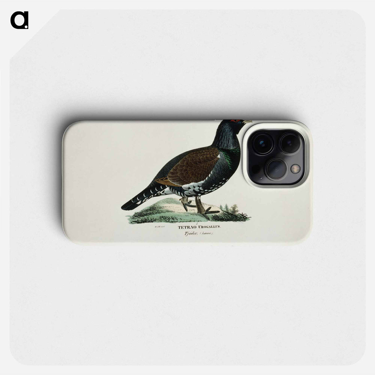 Male capercaillie - Wilhelm von Wright Phone Case.