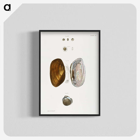 2-5_Zoology-of-New-York_blk-crop