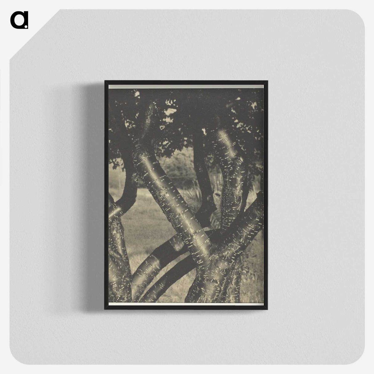 2-60_Alfred-Stieglitz_blk-crop