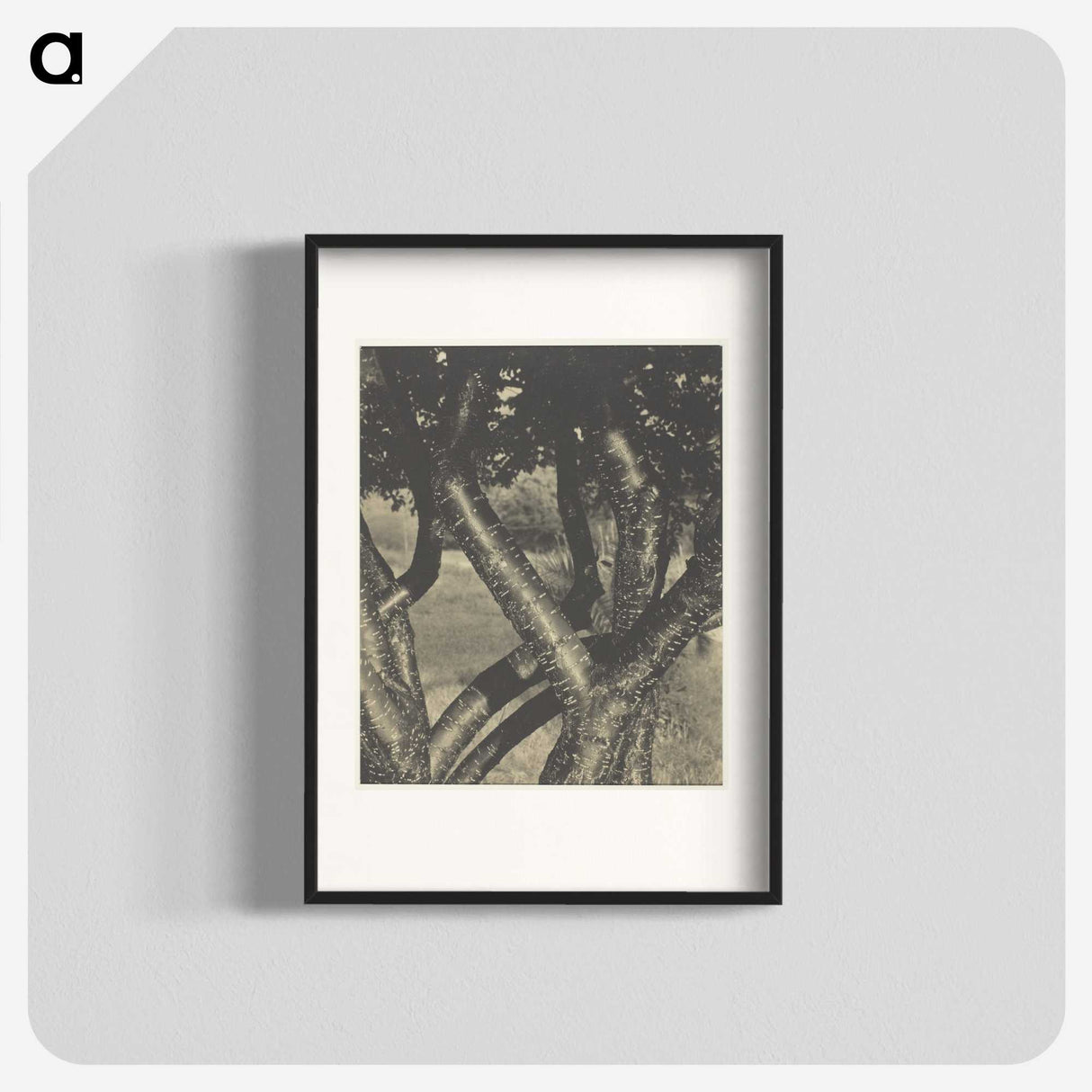 2-60_Alfred-Stieglitz_blk