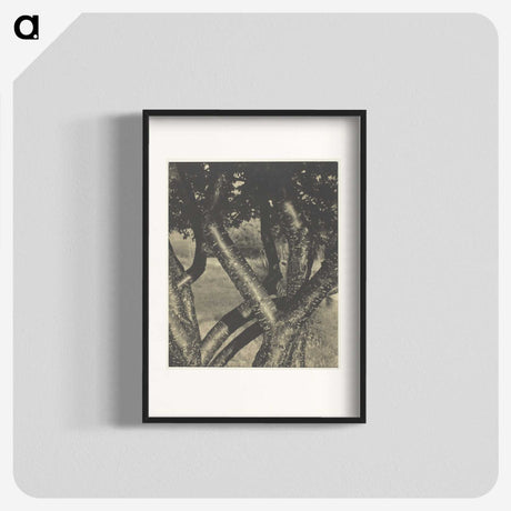 2-60_Alfred-Stieglitz_blk