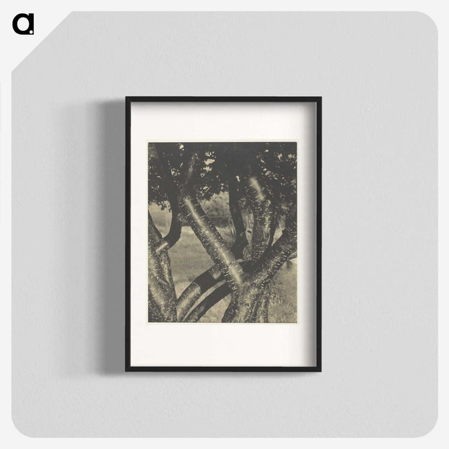 2-60_Alfred-Stieglitz_blk