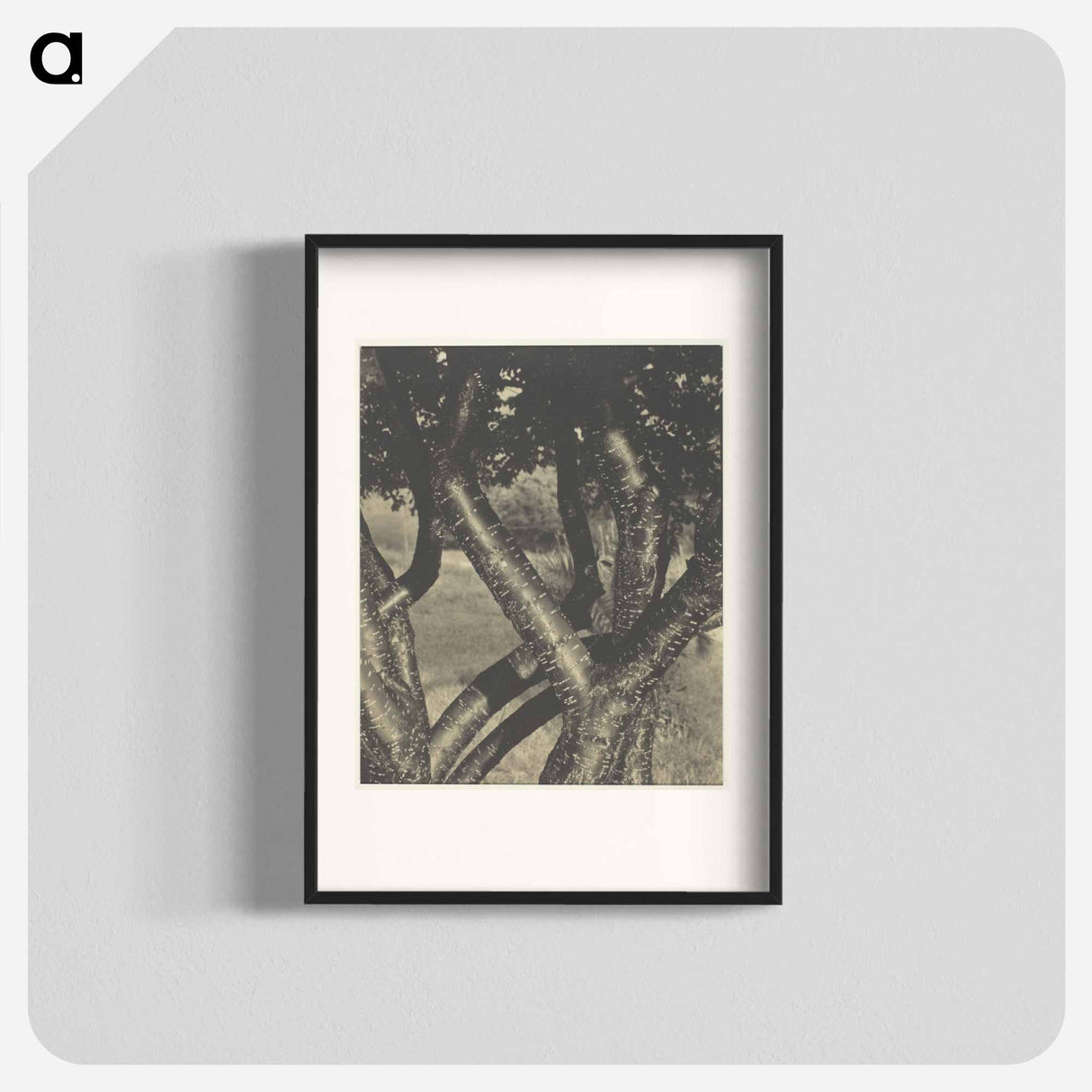 The Dancing Trees - アルフレッド スティーグリッツ Poster.