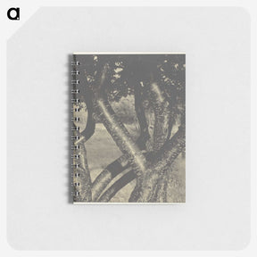 2-60_Alfred-Stieglitz_memo