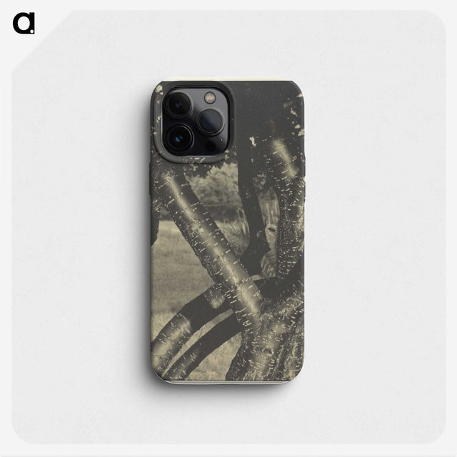 2-60_Alfred-Stieglitz_phone