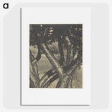 2-60_Alfred-Stieglitz_picture