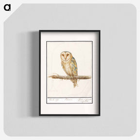 アートポスター-Barn Owl - アンセルムス ボエティウス デ ブート Poster.