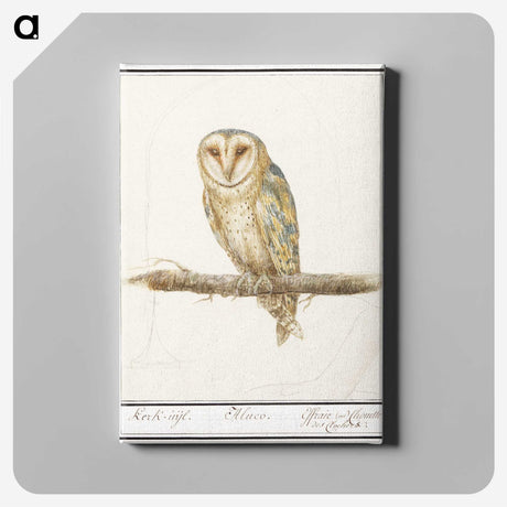 2-60_Anselmus-Boetius-de-Boodt_canvas