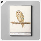 Barn Owl - アンセルムス ボエティウス デ ブート Canvas.