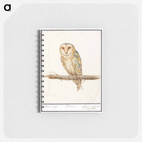 アートメモ帳-Barn Owl - アンセルムス ボエティウス デ ブート Memo.