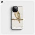 2-60_Anselmus-Boetius-de-Boodt_phone