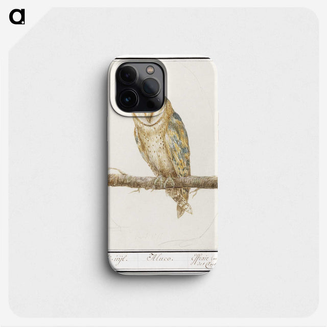 2-60_Anselmus-Boetius-de-Boodt_phone