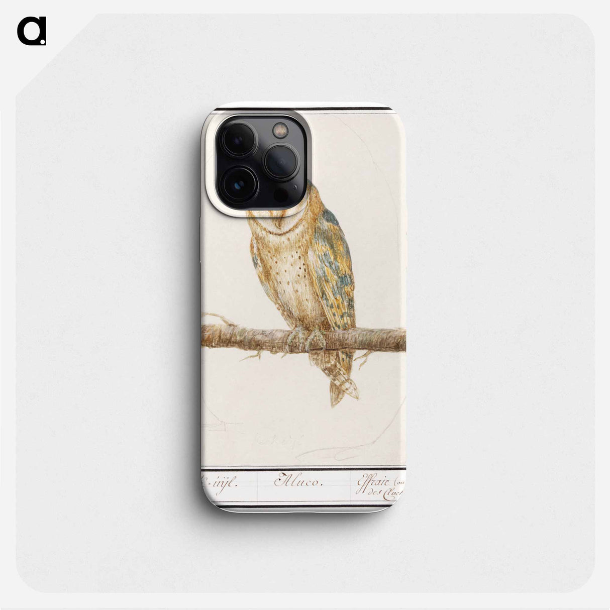 Barn Owl - アンセルムス ボエティウス デ ブート Phone Case.