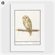 2-60_Anselmus-Boetius-de-Boodt_picture