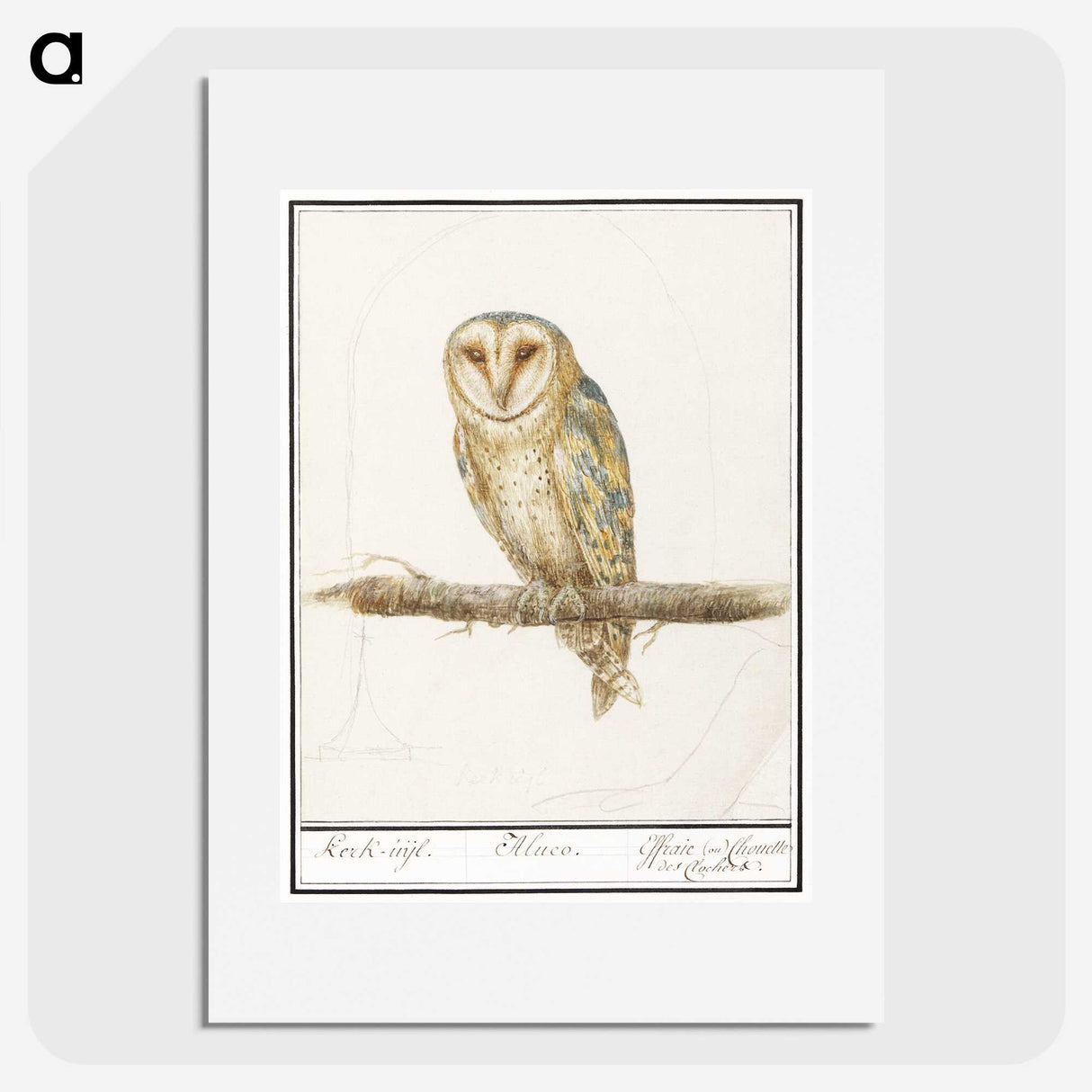 2-60_Anselmus-Boetius-de-Boodt_picture