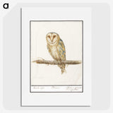 2-60_Anselmus-Boetius-de-Boodt_picture
