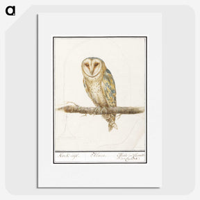 2-60_Anselmus-Boetius-de-Boodt_picture