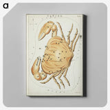 2-60_Antique-Maps_canvas
