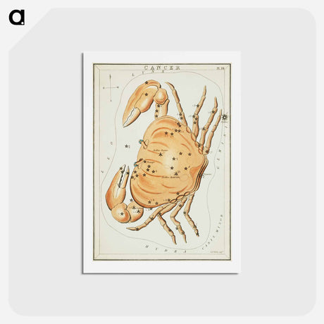 アートポストカード-Sidney Hall’s astronomical chart illustration of the zodiac Cancer - アンティーク地図 Postcard.