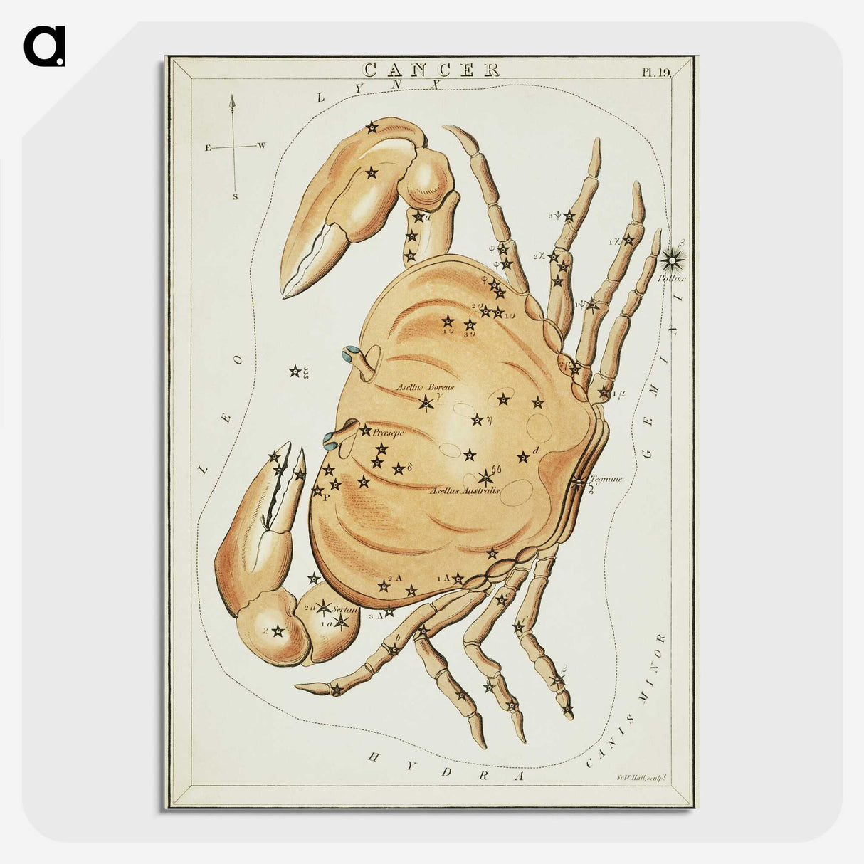 2-60_Antique-Maps_picture-crop