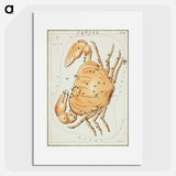 Sidney Hall’s astronomical chart illustration of the zodiac Cancer - アンティーク地図 Poster.